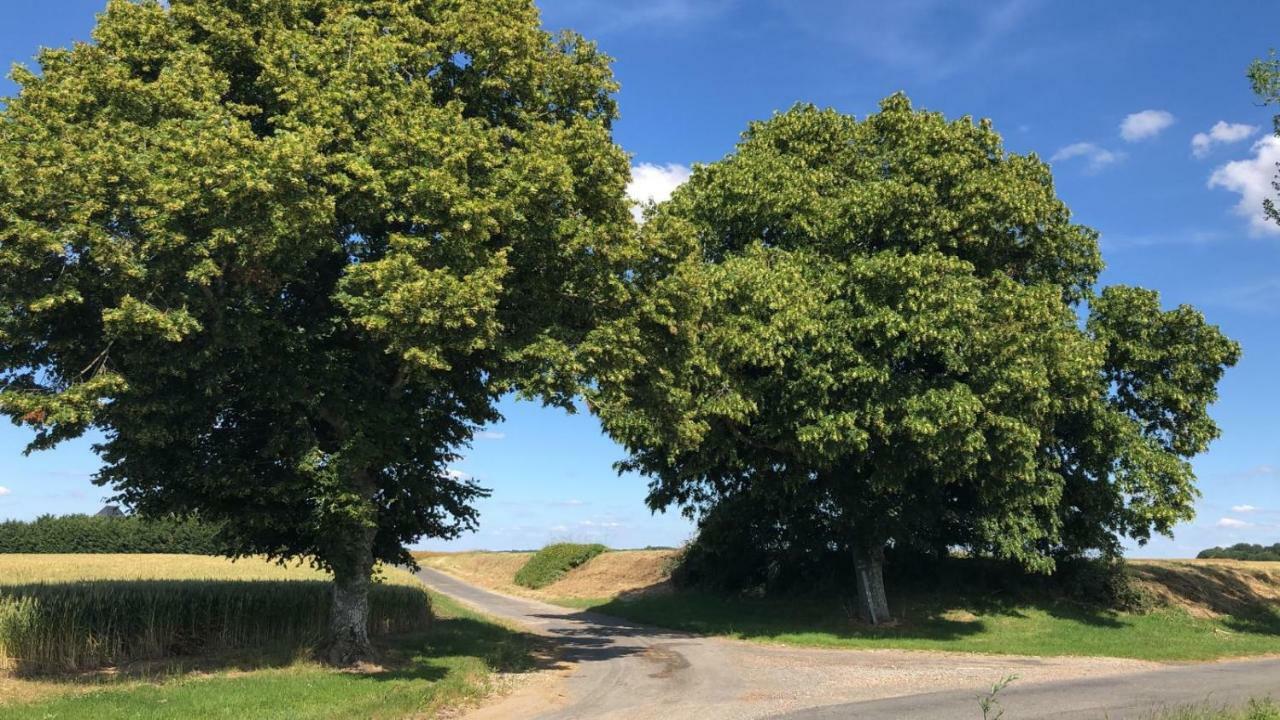 Le Gite De Ballage Chemille-Sur-Deme Экстерьер фото